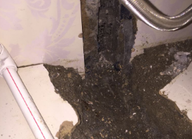 巴东卫生间测漏水哪家好