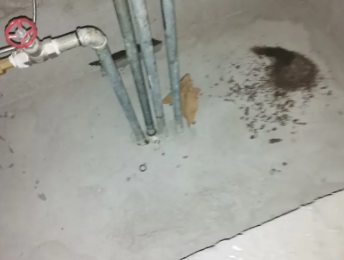 巴东卫生间测漏水价格明细